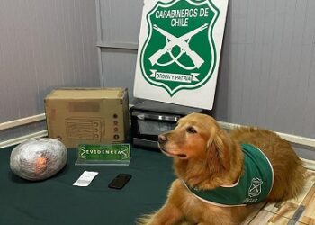 Carabineros del O.S.7 junto a la Fiscalía local de Aysén detuvo a sujeto y decomisó droga avaluada en más de 31 millones de pesos