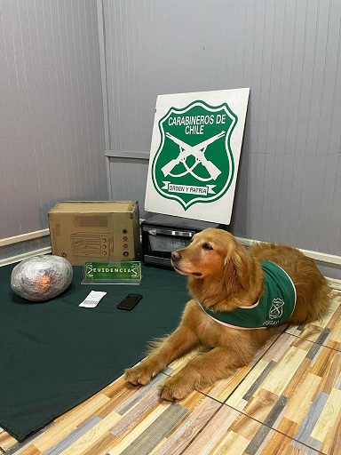Carabineros del O.S.7 junto a la Fiscalía local de Aysén detuvo a sujeto y decomisó droga avaluada en más de 31 millones de pesos