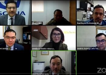 Delitos sexuales: 540 personas de Chile y Argentina participaron en Panel de Pruebas y Pericias
