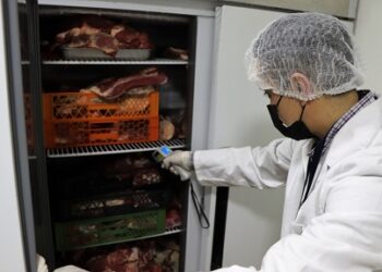 Autoridad Sanitaria Reforzará Test de PCR y Fiscalización de Cuarentenas en Fiestas Patrias