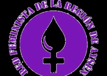 Red Feminista tras despido de ex académico de la Universidad de Aysén acusado de abuso sexual: “La rectora con sus declaraciones normaliza la violencia institucional”
