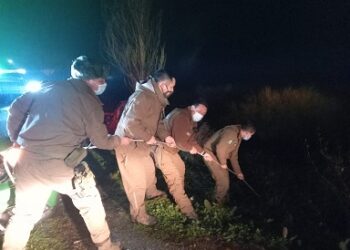 Rescatan a mujer que cayó en la ribera del río Aysén