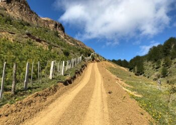 Hasta el 15 de octubre hay plazo para postular al Programa Caminos Intraprediales de INDAP
