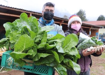 INDAP destaca el aporte de las mujeres campesinas de Aysén