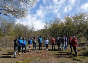 Gobernadora Regional y alcaldes comprometen trabajo conjunto para el nuevo Centro de Gestión de Residuos Cochrane y Tortel