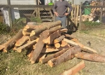 Entregan leña a adultos mayores de Puerto Cisnes