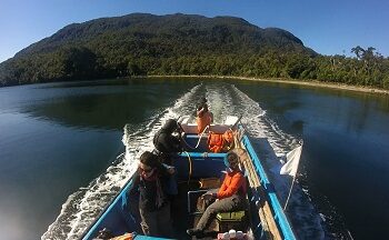 ¿Cuál es el Estado Actual de la Ciencia en la Macrozona Austral de Chile?
