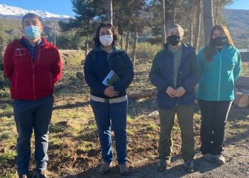 Programa de Reactivación Económica avanza en la provincia de Capitán Prat