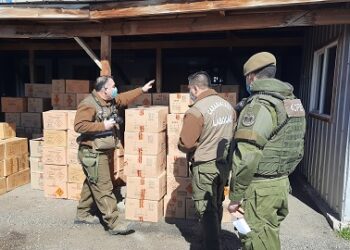 Carabineros de Balmaceda y El Blanco detuvo a dos personas y decomisó millonario cargamento de fuegos artificiales internados por paso no habilitado