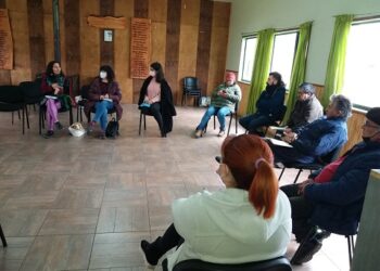 Constituyente Yarela Gómez se reúne con comunidad de Puerto Aysén en actividad conjunta con Cultura Aysén