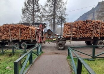 300 metros de leña entrega CONAF a municipio de Puerto Cisnes