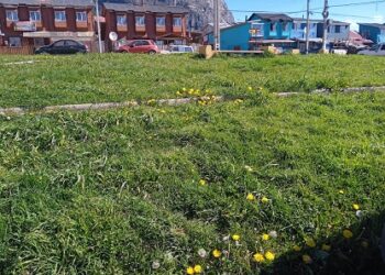 “Este proyecto viene a compensar una deuda histórica con la población El Bosque y todas las poblaciones del sector”
