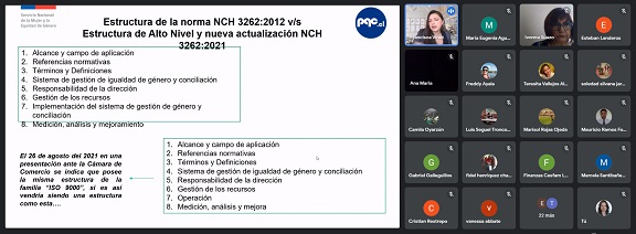Empresas y Organismos Públicos de la Región se capacitan en materias de Género y Buenas Prácticas Laborales