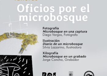 Convocatoria abierta para talleres que exploran el microbosque a través del arte