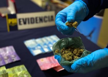 Casi 16 mil dosis de droga fuera de circulación en Aysén gracias al trabajo en investigaciones especializadas sobre microtráfico