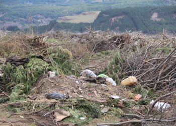 Concejala Ana María Navarrete manifiesta preocupación por manejo de sector “Las ramas” en Coyhaique