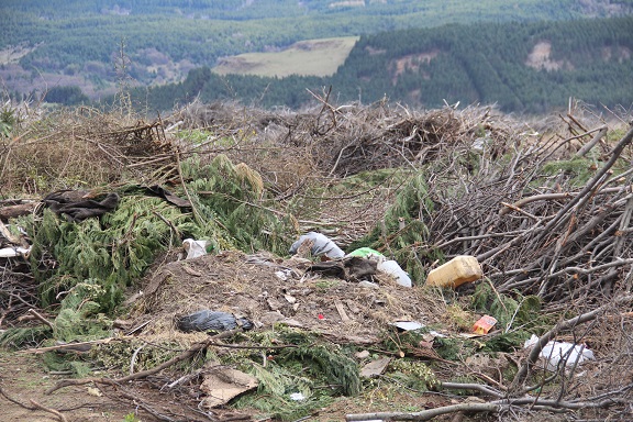 Concejala Ana María Navarrete manifiesta preocupación por manejo de sector “Las ramas” en Coyhaique