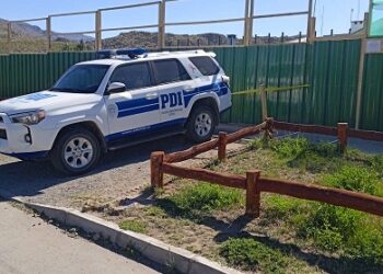 No existe confirmación si restos óseos encontrados en Chile Chico pertenecen a huesos humanos