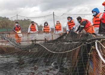 Autoridades del Trabajo instan a continuar con protocolos sanitarios laborales
