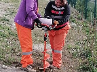 CONAF ejecuta proyecto de arborización comunitaria en Cochrane