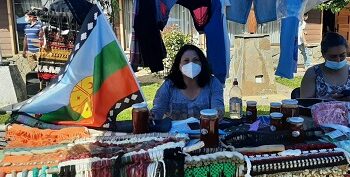 Delegación Capitán Prat realizó Exitosa Feria de Emprendimiento en Cochrane