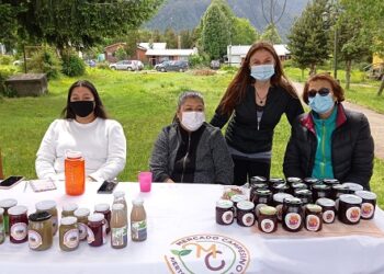 Municipalidad realizó la primera feria Mercado Campesino Prodesal Puerto Cisnes