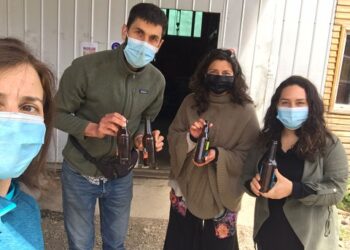 Proyecto colaborativo de economía circular busca reutilizar botellas de vidrio en Aysén