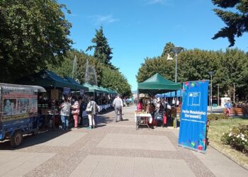 SernamEG y emprendedoras realizan positivo balance de la Expo Feria Navideña
