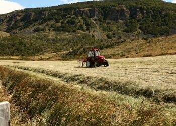 Gran impacto del Sistema de Incentivos para la Sustentabilidad Agroambiental de los Suelos Agropecuarios (SIRSD-S) en la Región de Aysén