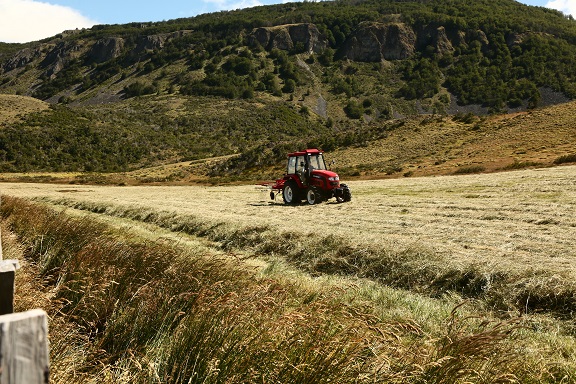 Gran impacto del Sistema de Incentivos para la Sustentabilidad Agroambiental de los Suelos Agropecuarios (SIRSD-S) en la Región de Aysén
