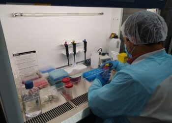 Laboratorio de Biología Molecular del Hospital Regional Coyhaique es capaz de detectar variante Ómicron