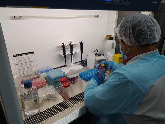 Laboratorio de Biología Molecular del Hospital Regional Coyhaique es capaz de detectar variante Ómicron
