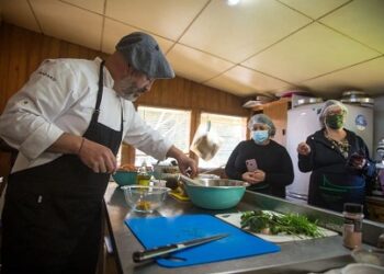 Plataforma web busca transformarse en el medio oficial de la gastronomía en Aysén