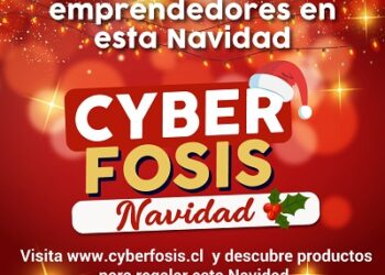 Emprendedores de Aysén ofrecen sus productos y servicios en el CyberFOSIS Navidad