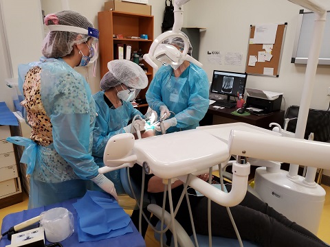 Usuarios de la zona sur fueron beneficiados con operativo de endodoncia