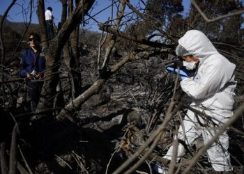 PDI alerta sobre incendios forestales en temporada estival