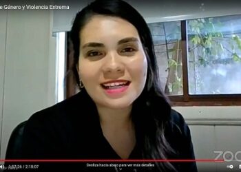 Con éxito se realizó Seminario Virtual «Género y Violencia Extrema en la región de Aysén»