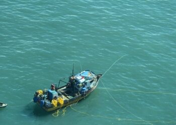Sorprenden a embarcaciones ilegales operando en Aysén tras fiscalización aérea
