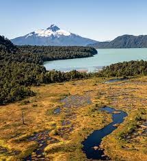 Por una Ley sobre Protección Ambiental de Turberas para Chile / A Law for Environmental Protection of Peatlands in Chile- Sept. 2021