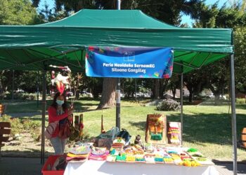 SernamEG cumple 31 años de existencia trabajando por las mujeres y las juventudes