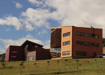 Campus Patagonia y PACE UACh orientarán a nuevos estudiantes durante el período de matrícula