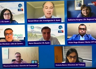 Se presentaron los resultados de la Encuesta ENADEL 2021 de caracterización y demanda laboral en Aysén