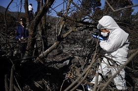PDI y Fiscalía inician investigación por fogata no autorizada en Parque Nacional Queulat