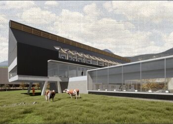 Balance CES 2021: 87 proyectos inscritos, con Aysén y Magallanes como protagonistas