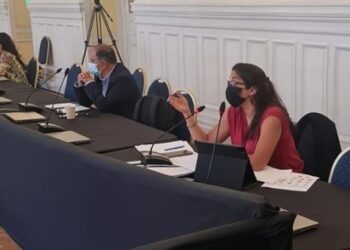 Investigadora del Centro de Acción Climática PUCV expone lineamientos de estatuto costero-marino ante Convención Constituyente