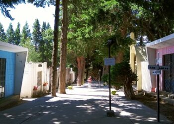 Término anticipado a contratista de cementerios municipales por negligencias