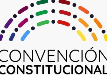 ¿Y tú votaste? Iniciativas de norma en Convención Constituyente