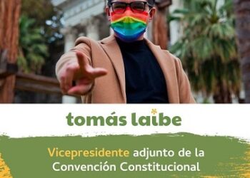 El constituyente aisenino Tomás Laibe será parte de la mesa directiva de la Convención Constitucional