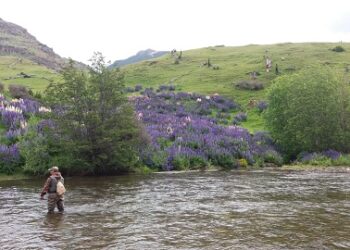 Juzgado de Policía Local de Chile Chico falla a favor de Sernapesca