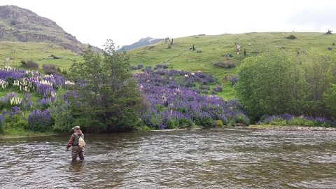 Juzgado de Policía Local de Chile Chico falla a favor de Sernapesca